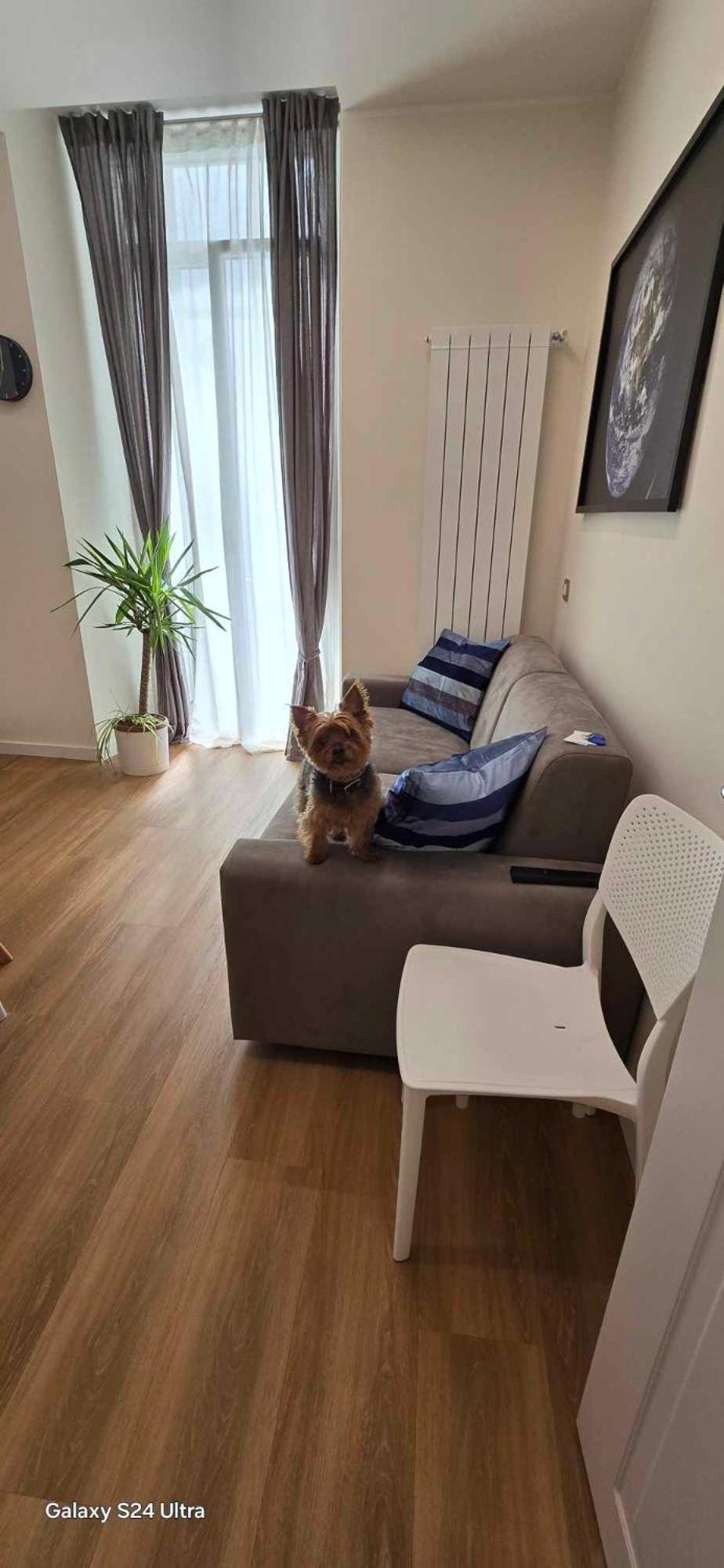 The Dream Apartment 100 M Dal Mare Σαβόνα Εξωτερικό φωτογραφία